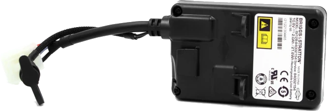 Briggs & Stratton Instart Battery